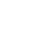 ECR Party logo